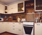Кухня со стеновой панелью